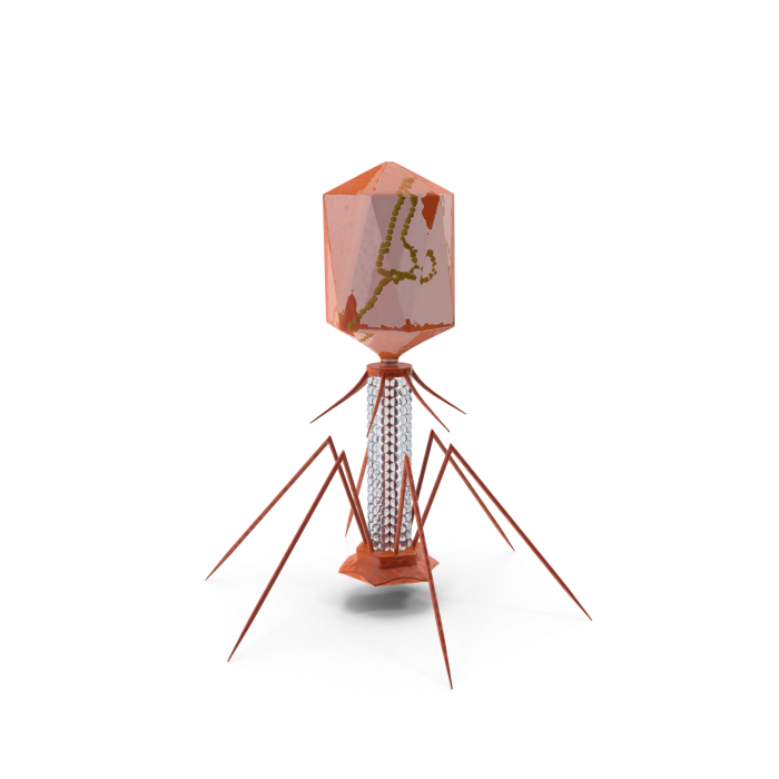 AI and Viruses: The Future of Medicine or a Dangerous Gamble?