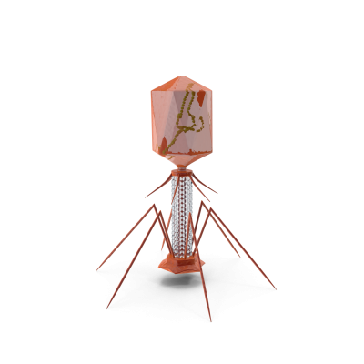 Ai And Viruses: The Future Of Medicine Or A Dangerous Gamble?