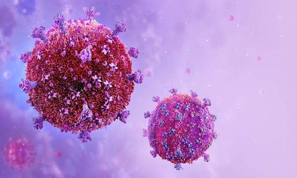 Aids Virus But No Aids- Elite Controller