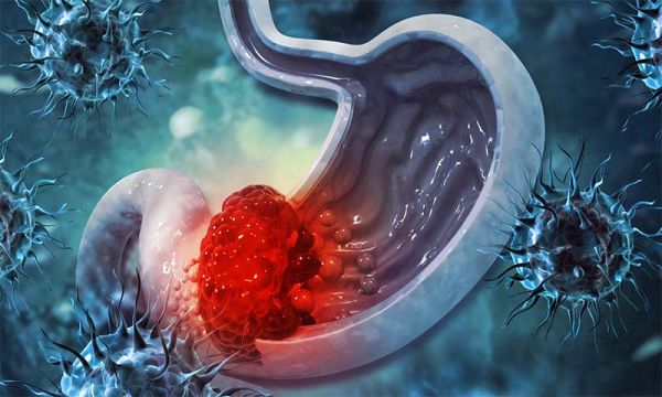 Bacteria In Tummy Accurately Predict Your Age