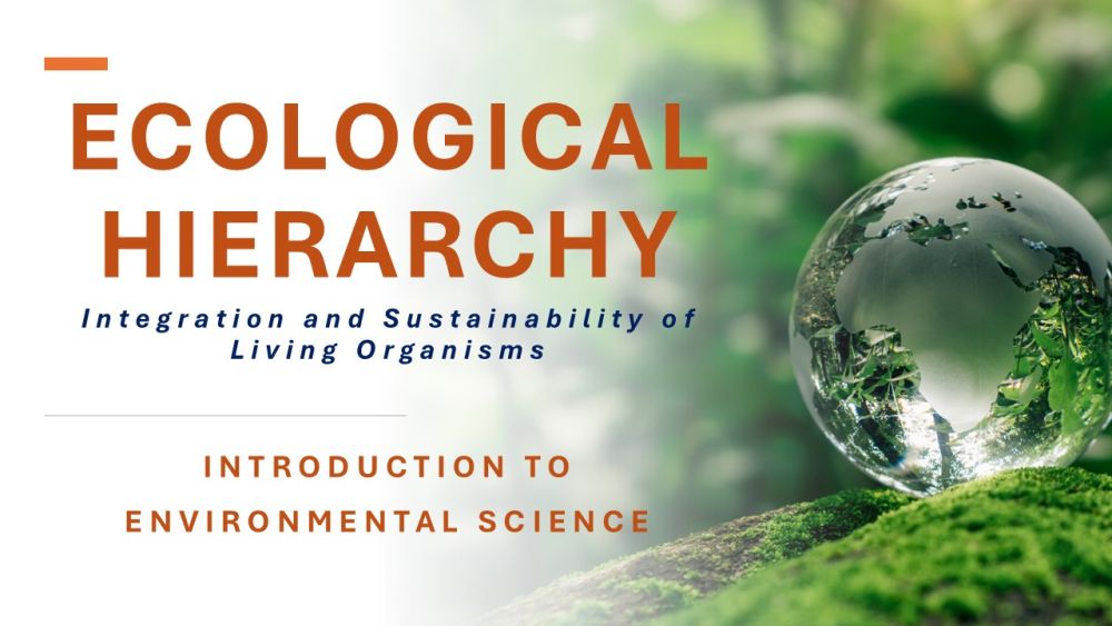 Ecological Hierarchy — From Organism to Biosphere
