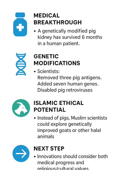 Exploring Halal Alternatives to Pig Organs - Can Muslim Scientists Lead the Way in Halal Genetic Innovations?