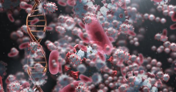 Introduction To Medical Biology