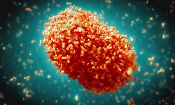 #Monkeypox - A Looming Threat - So Far Safe - Cannot Predict Future - #Biomedglobal Explains