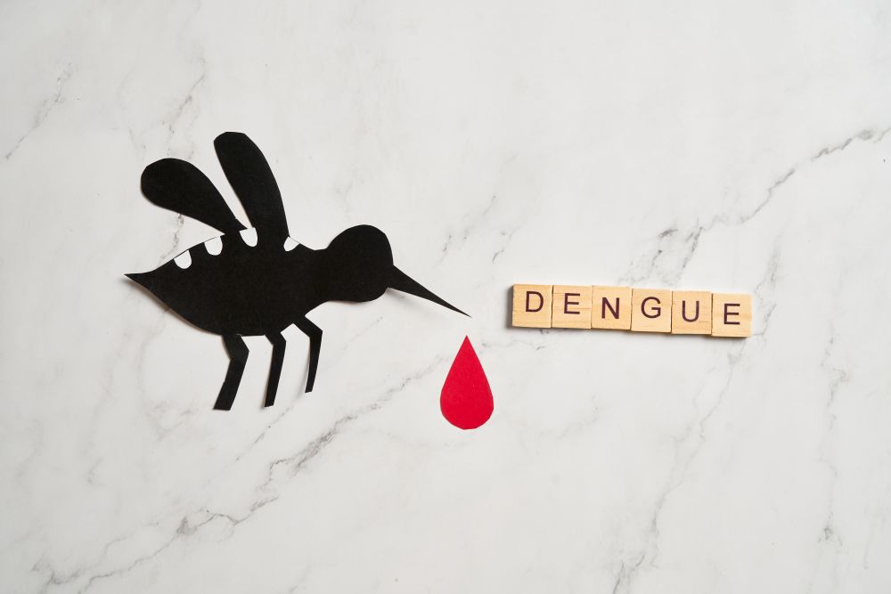 World Dengue Day 2025: The Rising Public Health Threat and Global Wake-Up Call