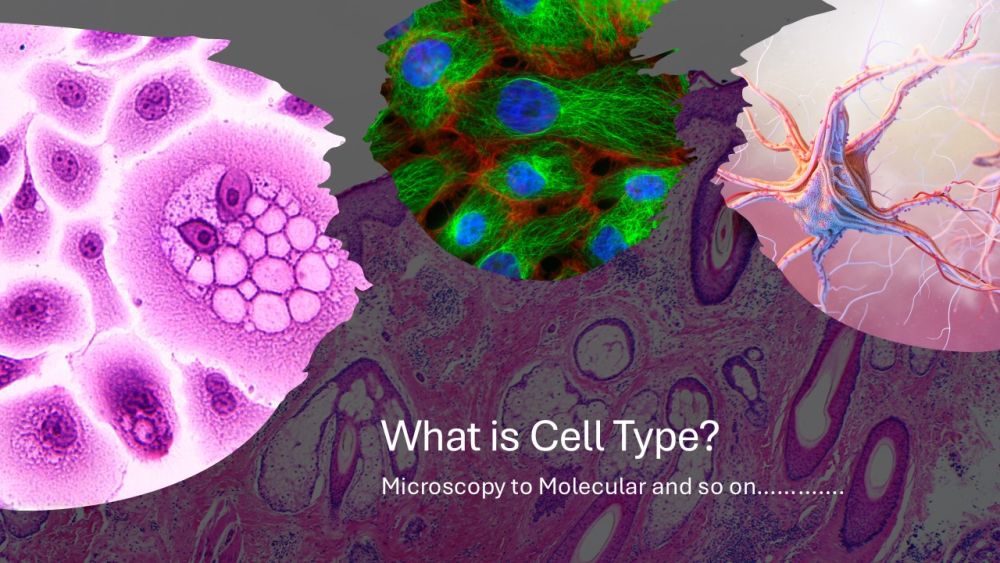 Your Definition of "Cell Types" Might be Incorrect - Ever Changing Biology with Technological Advancements